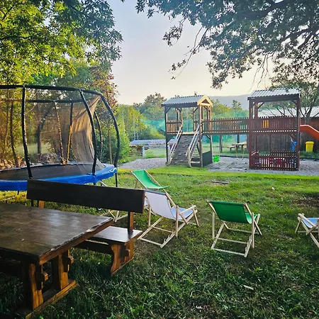 Sokol - Falcon's Nest